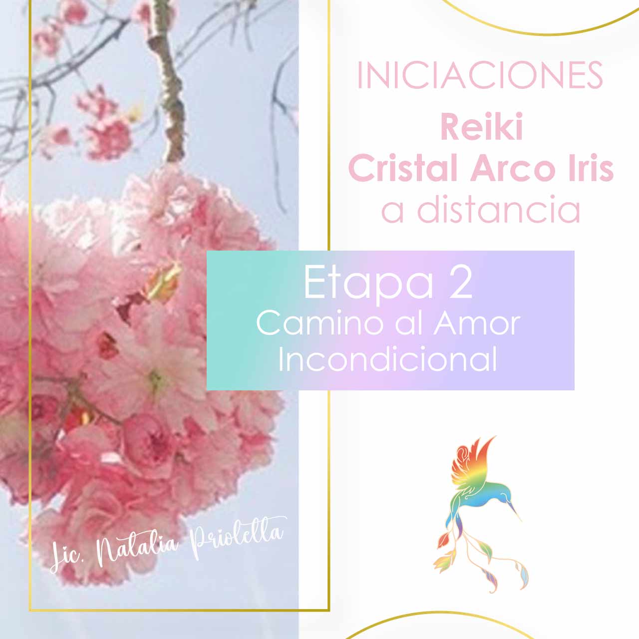 Iniciaciones de Reiki Cristal Arco Iris Etapa 2 Camino al Amor Incondicional